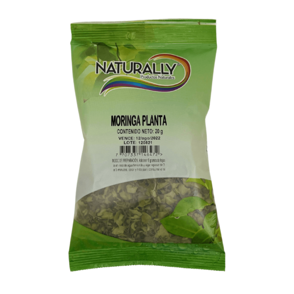 moringa-hoja